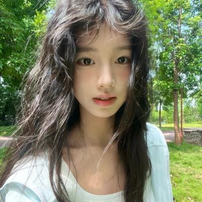夏日的玫瑰